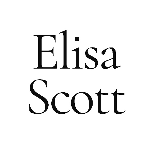 Logo de Elisa Scott | Executive Search